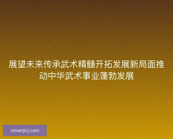 展望未来传承武术精髓开拓发展新局面推动中华武术事业蓬勃发展