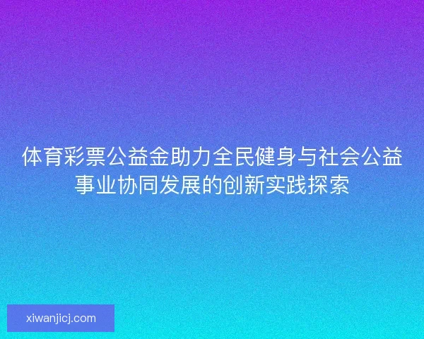 体育彩票公益金助力全民健身与社会公益事业协同发展的创新实践探索