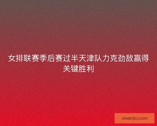 女排联赛季后赛过半天津队力克劲敌赢得关键胜利